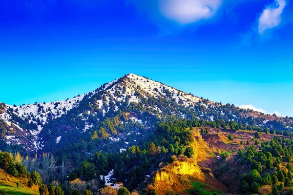 Mountain top covered with young snow and illuminated by the sun on a sunny spring day. Mountain landscape.