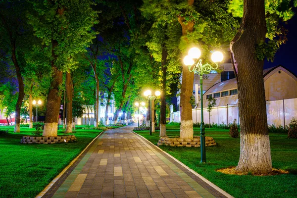 stock image City night park in early summer or spring with pavement, lanterns, young green lawn and trees. Landscape.