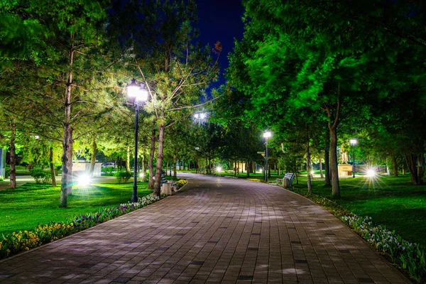 ランタン 若い緑の芝生と木と初夏または春の都市の夜の公園 — ストック写真