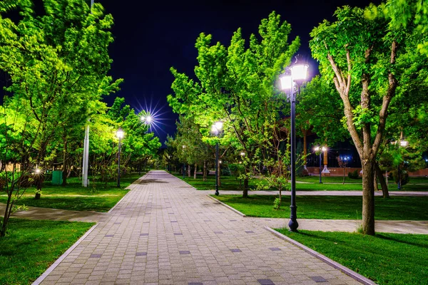 Yaz Başında Ilkbaharda Şehir Gece Parkında Kaldırımlar Fenerler Genç Yeşil — Stok fotoğraf