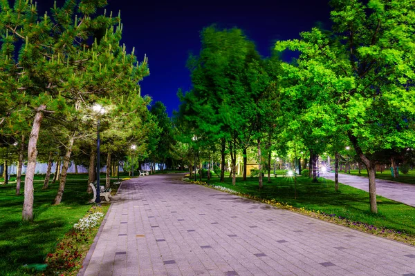Городской Ночной Парк Начале Лета Весной Тротуаром Фонарями Молодой Зеленой — стоковое фото
