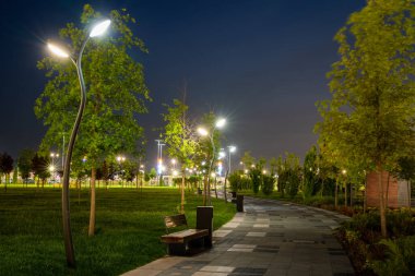 Yaz başında ya da ilkbaharda şehir gece parkında kaldırımlar, fenerler, genç yeşil çimenler ve ağaçlar. Peyzaj.