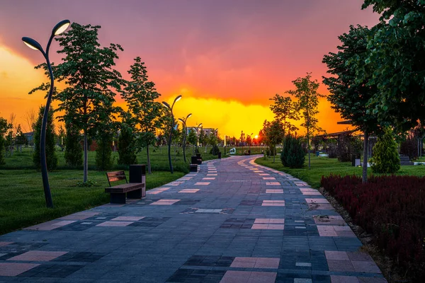Parque Ciudad Principios Verano Primavera Con Pavimento Linternas Césped Verde — Foto de Stock