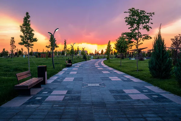 Parque Ciudad Principios Verano Primavera Con Pavimento Linternas Césped Verde — Foto de Stock