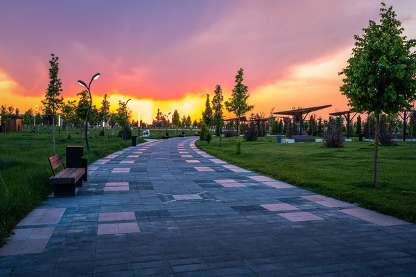 stock image City park in early summer or spring with pavement, lanterns, young green lawn, trees and dramatic cloudy sky on a sunset or sunrise. Landscape.