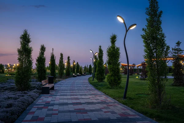Parque Nocturno Ciudad Principios Verano Primavera Con Pavimento Farolillos Césped — Foto de Stock