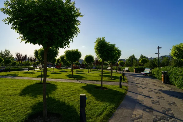 stock image Sunset or dawn in a park with cut trees, pavement and green lawns at summertime.