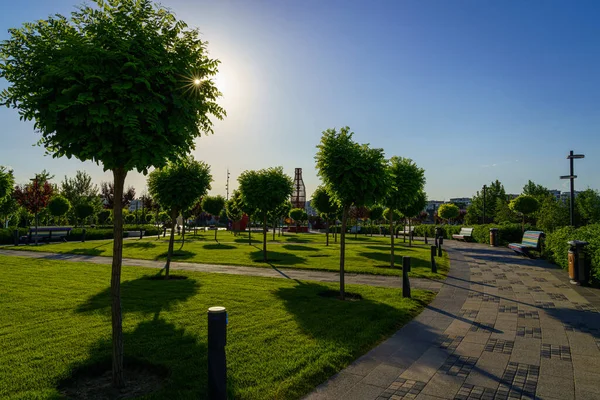 Puesta Sol Amanecer Parque Con Árboles Cortados Pavimento Césped Verde — Foto de Stock
