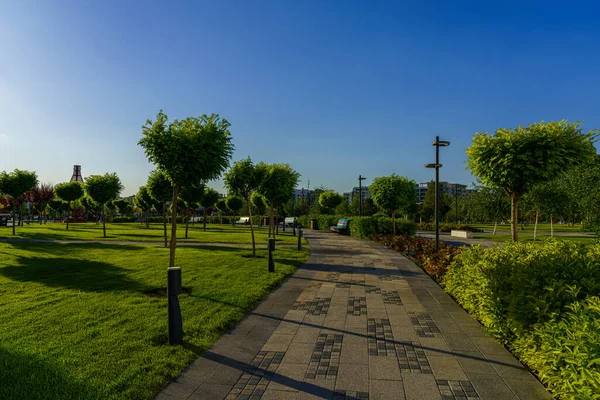 Pôr Sol Amanhecer Parque Com Árvores Cortadas Pavimento Gramados Verdes — Fotografia de Stock