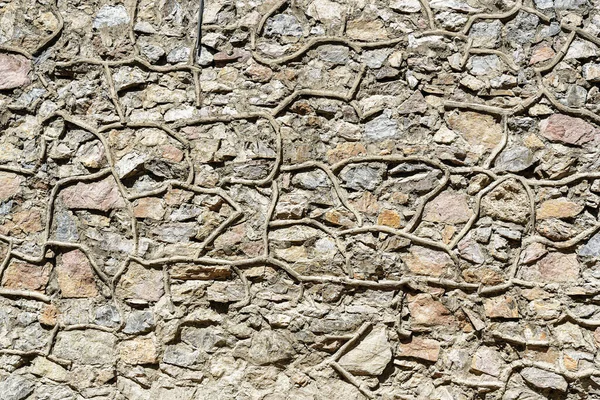 Декоративна Стіна Каменів Бетону Абстрактний Фон Дизайну — стокове фото