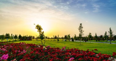 Yazın başında ya da ilkbaharda şehir parkında ön planda kırmızı güller ve yazın gün batımında bulutlu bir gökyüzü ya da gün doğumunda. Peyzaj.