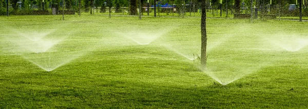 Automatic Lawn Watering System Watering Young Green Lawn Grass Park — Stock Photo, Image