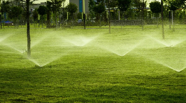 公园内的草坪自动浇水系统在白天浇灌年轻的草坪草 — 图库照片