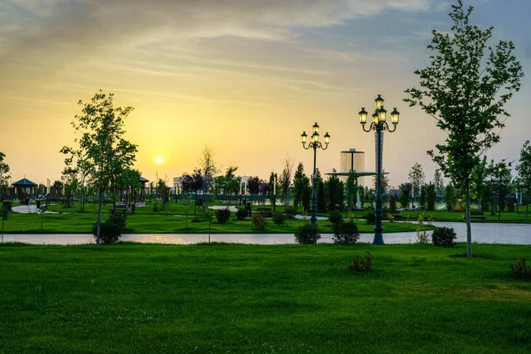 stock image City park in early summer or spring with lanterns, young green lawn, trees and dramatic cloudy sky on a sunset or sunrise. Landscape.