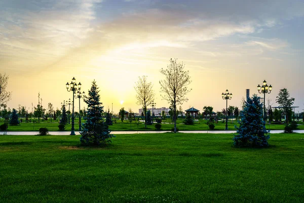 Parque Ciudad Principios Verano Primavera Con Linternas Césped Verde Joven — Foto de Stock