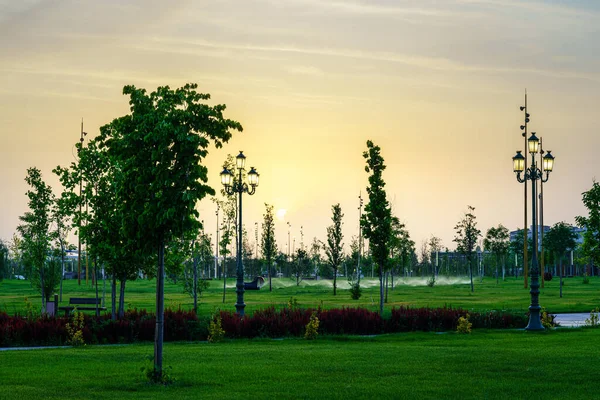 Parque Ciudad Principios Verano Primavera Con Linternas Césped Verde Joven — Foto de Stock