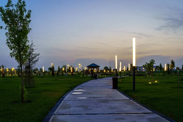 stock image City night park in early summer or spring with pavement, lanterns, young green lawn and trees. Landscape.