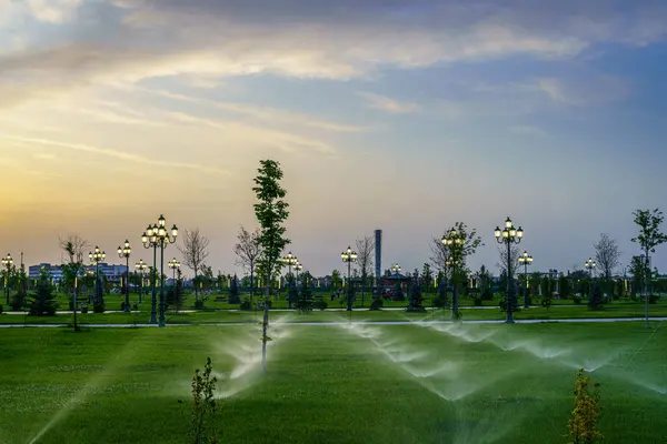 stock image City park in early summer or spring with lanterns, young green lawn, trees and dramatic cloudy sky on a sunset or sunrise. Landscape.