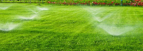 stock image Automatic lawn watering system watering the young green lawn grass in the park during the day.