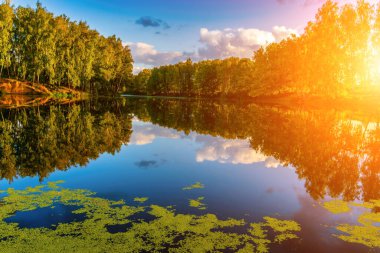 Sunset or dawn on a pond with birch trees along the banks and a cloudy sky reflected in the water. Landscape with water reflection.