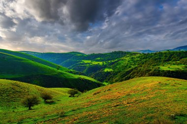 Genç yeşil çimlerle kaplı tepeler ve dağlar güneşli bir yaz gününde güneşle aydınlanıyor. Dağ manzarası.