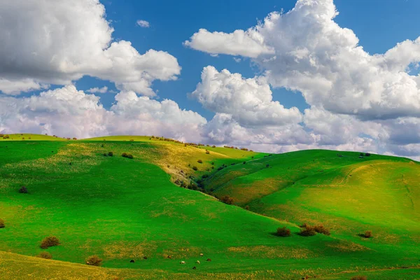 Heuvels Bergen Bedekt Met Jong Groen Gras Verlicht Door Zon — Stockfoto