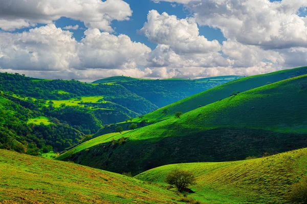 Wzgórza Góry Pokryte Młodą Zieloną Trawą Oświetlone Słońcem Słoneczny Letni — Zdjęcie stockowe