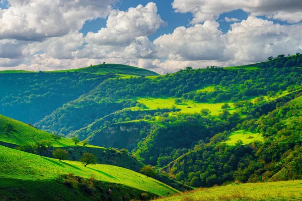 Холмы Горы Покрытые Молодой Зеленой Травой Освещенные Солнцем Солнечный Летний — стоковое фото