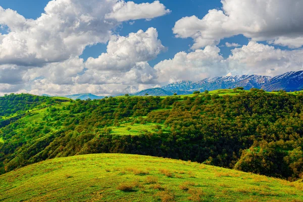 Colinas Montanhas Cobertas Com Grama Verde Jovem Iluminado Pelo Sol — Fotografia de Stock