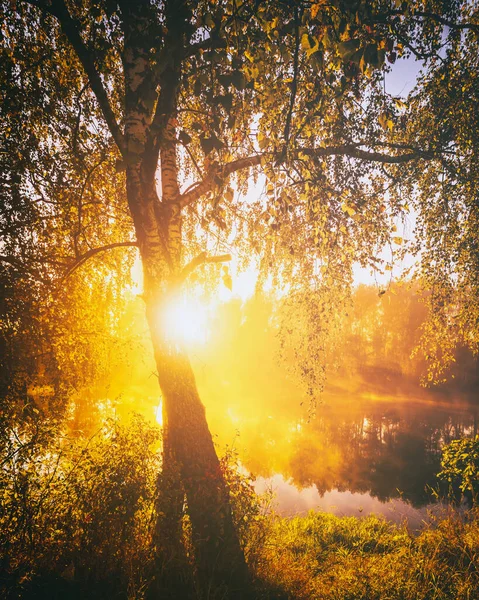 stock image Dawn on a lake or river with a dramatic cloudy sky reflected in the water, birch trees on the shore and the sunbeams breaking through them and fog in autumn. Aesthetics of vintage film.