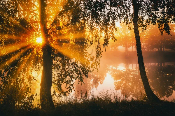 湖や川の上で 劇的な曇り空の夜明けは 水の中に反映され 海岸の白樺の木とそれらを突破し 秋に霧の日光浴 ヴィンテージ映画の美学 — ストック写真