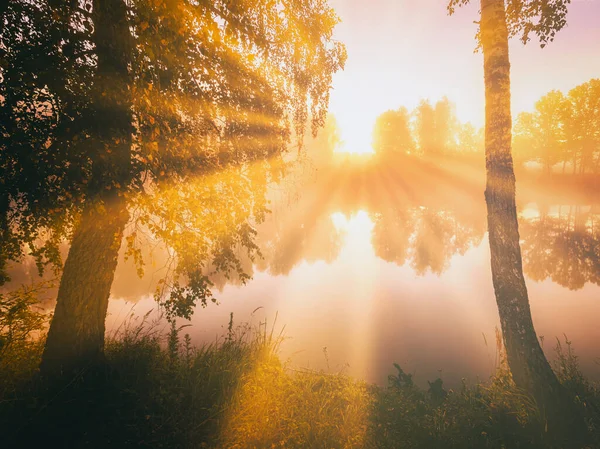 stock image Dawn on a lake or river with a dramatic cloudy sky reflected in the water, birch trees on the shore and the sunbeams breaking through them and fog in autumn. Aesthetics of vintage film.