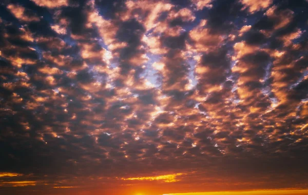 Dramatisch Bewölkter Himmel Beleuchtet Von Den Sonnenstrahlen Bei Sonnenuntergang Oder — Stockfoto