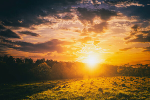 Sunset or sunrise in a spring field with green grass, willow trees and cloudy sky. Sunbeams making their way through the clouds. Landscape. Vintage film aesthetic.