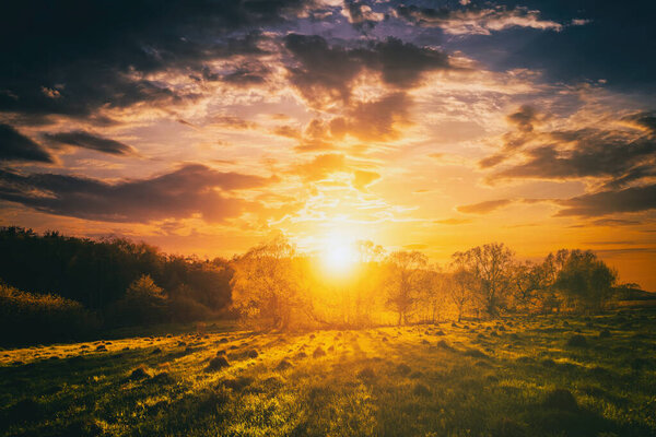 Sunset or sunrise in a spring field with green grass, willow trees and cloudy sky. Sunbeams making their way through the clouds. Landscape. Vintage film aesthetic.