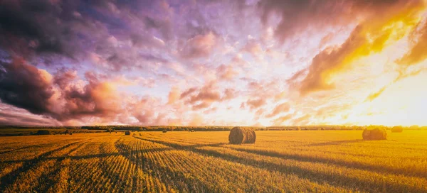 Sunset on the field with haystacks in Autumn season. Rural landscape with cloudy sky background in a sunny evening. Golden harvest of wheat. Vintage film aesthetic.
