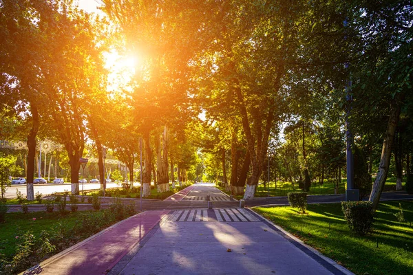 Yaz ya da bahar aylarında Taşkent, Özbekistan 'da günbatımında ya da gündoğumunda kaldırım, yeşil çimen ve ağaçlarla şehir parkı. Peyzaj.