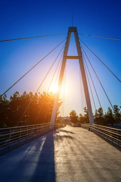 乌兹别克斯坦 塔什干 今夏黄昏时分 纳夫鲁兹公园的安霍尔运河上有钢索的现代人行天桥 — 图库照片