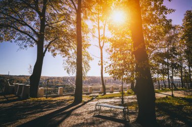 Yaprak, altın sonbaharda şehir parkına düşer. Güneşli bir günde akçaağaçlarla ve diğer ağaçlarla dolu bir manzara. Klasik film estetiği..