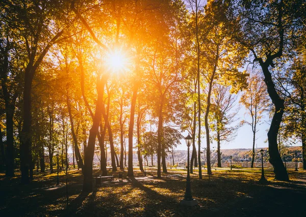 Yaprak, altın sonbaharda şehir parkına düşer. Güneşli bir günde akçaağaçlarla ve diğer ağaçlarla dolu bir manzara. Klasik film estetiği..