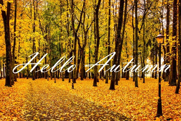 Λέξεις Hello Φθινόπωρο Στο Φόντο Του Φθινοπωρινού Πάρκου Της Πόλης — Φωτογραφία Αρχείου