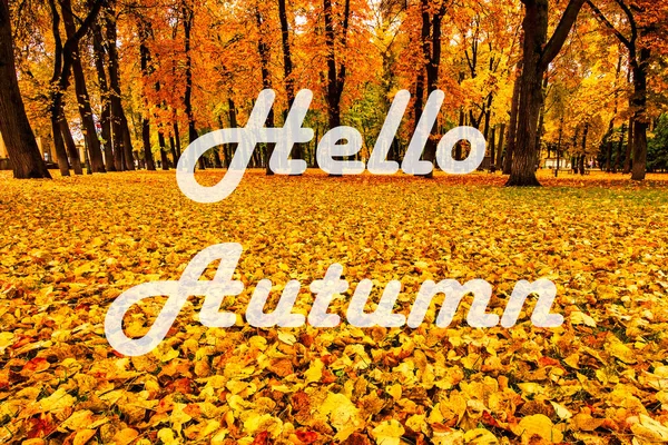 Słowa Hello Autumn Tle Jesiennego Parku Miejskiego Drzewami Złotymi Liśćmi — Zdjęcie stockowe