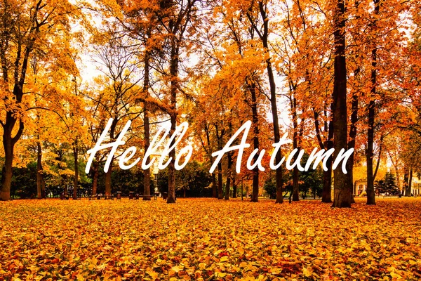 Слова Hello Autumn Фоне Осеннего Городского Парка Деревьями Золотыми Листьями — стоковое фото