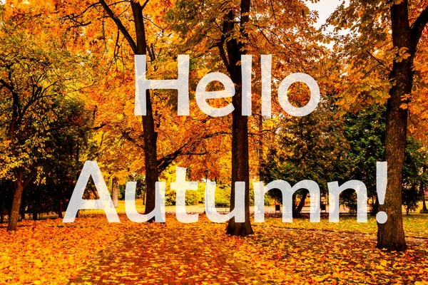 Parole Hello Autumn Sullo Sfondo Del Parco Cittadino Autunnale Con — Foto Stock