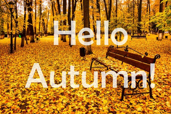 秋天的城市公园背景上 有金黄的树叶 这句话叫 你好秋天 问候卡 秋天季节开始的概念 — 图库照片
