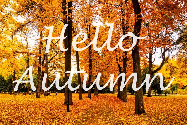 Die Worte Hallo Herbst Auf Dem Hintergrund Des Herbstlichen Stadtparks — Stockfoto