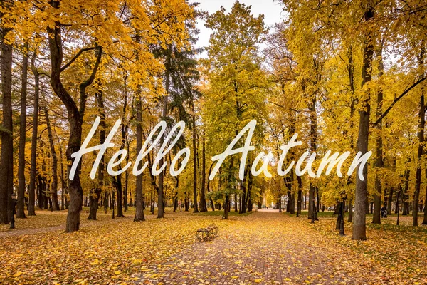 Слова Hello Autumn Фоне Осеннего Городского Парка Деревьями Золотыми Листьями — стоковое фото