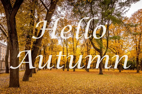 Slova Hello Podzim Pozadí Podzimního Městského Parku Stromy Zlatými Listy — Stock fotografie