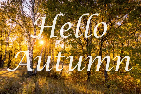 Las Palabras Hello Autumn Fondo Los Árboles Con Hojas Doradas —  Fotos de Stock