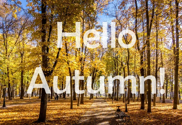 Las Palabras Hello Autumn Fondo Del Parque Otoñal Iluminado Por —  Fotos de Stock